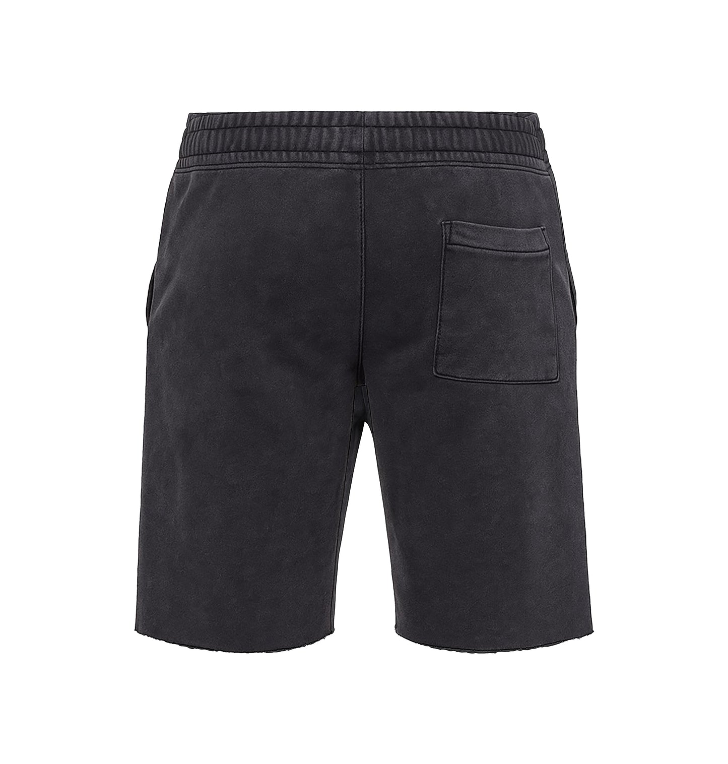 6X World Champion Shorts